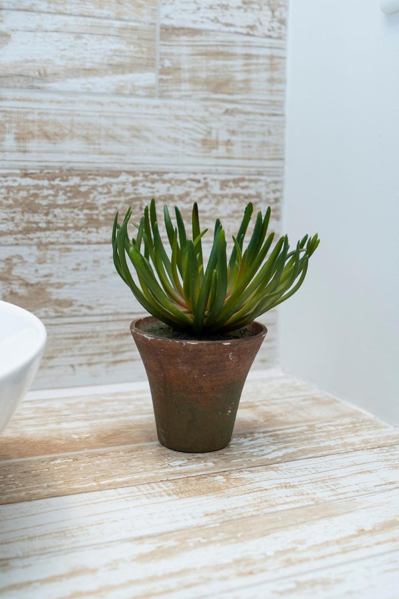 U-go Casa Ramona Frente Al Club Nautico De Cartagena